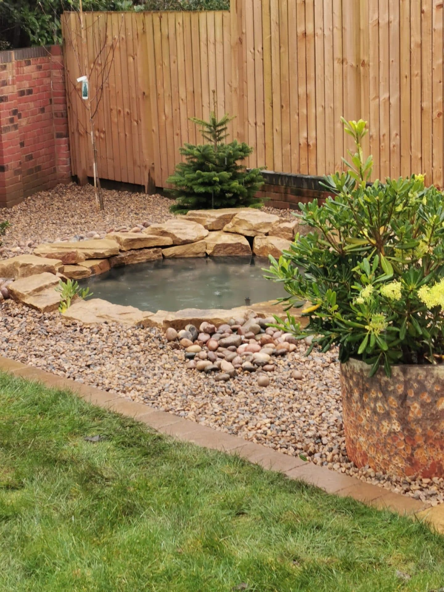 A wildlife pond edged with sandstone, beside a young fir tree